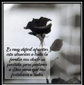 Meet your Posher, Norma